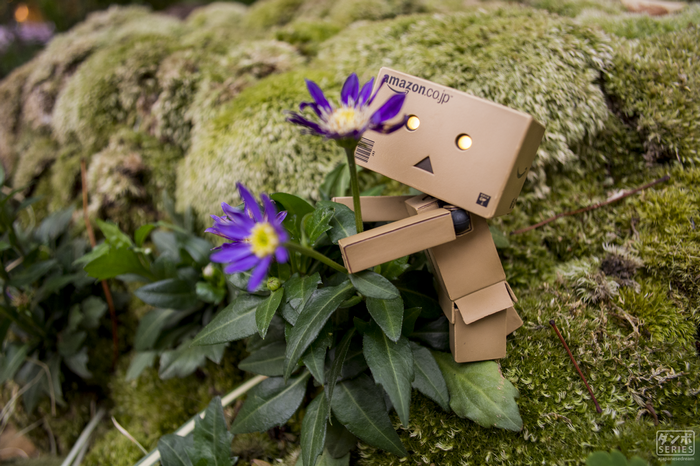 Danbo robot with Amazon.co.jp logo near purple flowers