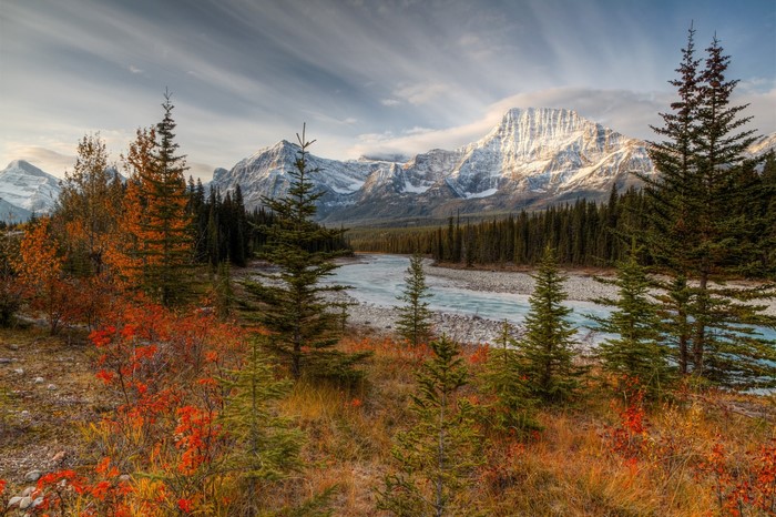 Autumn Forest and Snowy Mountain Landscape
