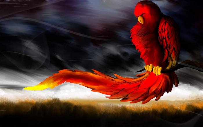 Red phoenix with long tail perched on a branch