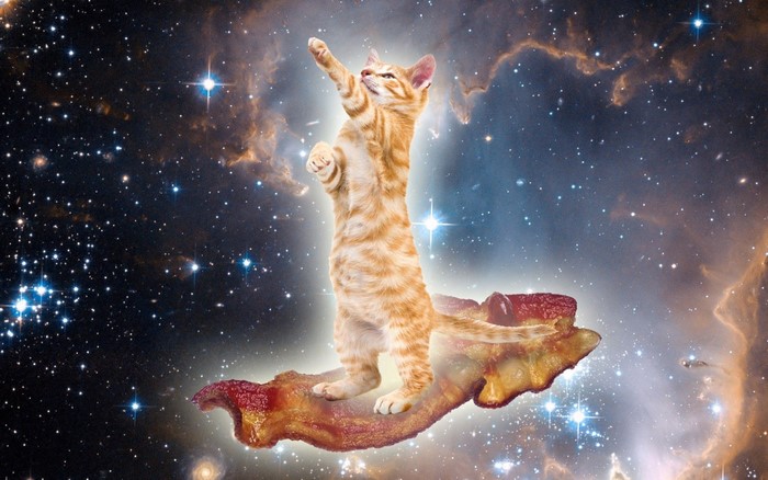 Orange tabby cat riding a strip of bacon through space