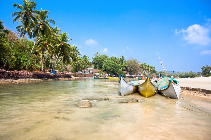 Goa India Palms Boats Indian Ocean