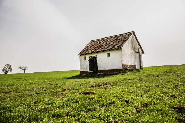 Small white house on a green meadow with trees