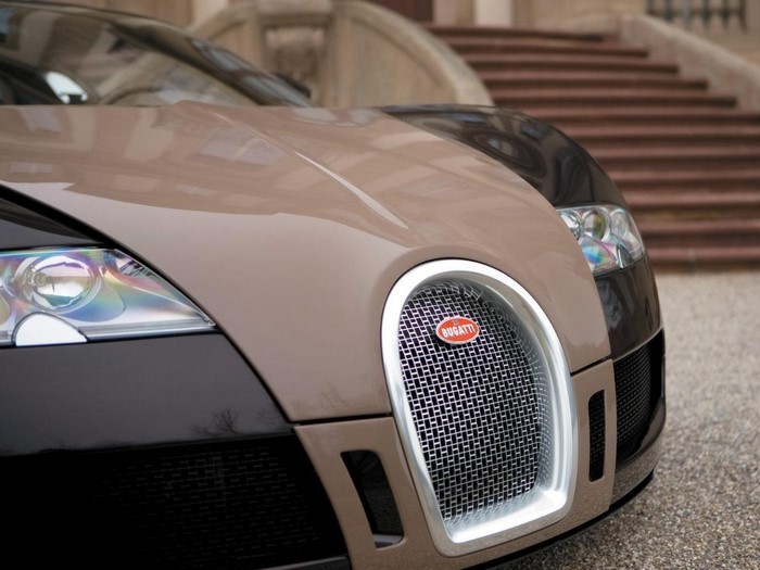 Bugatti Veyron front grille and headlights