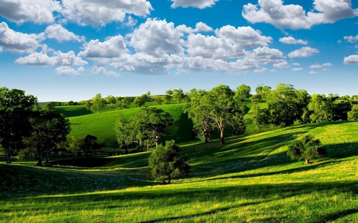 Rolling green hills with scattered trees under a cloudy sky
