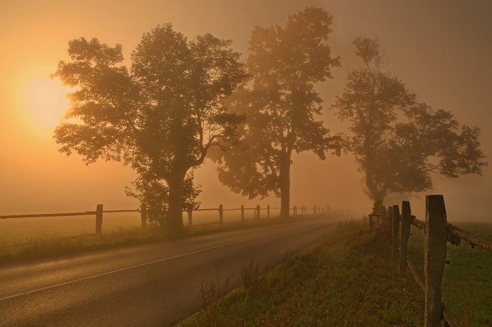 Misty sunrise over a rural road with trees and fence
