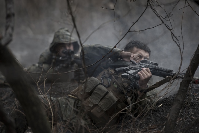 Soldiers in camouflage gear aiming rifles in a misty forest