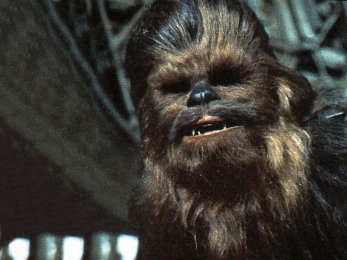 Chewbacca from Star Wars