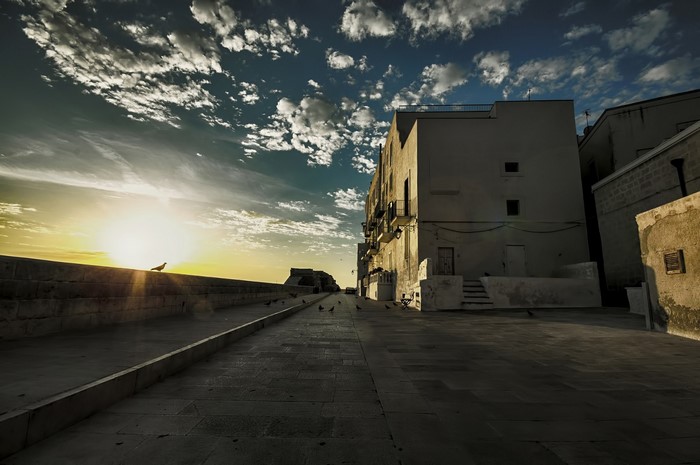 Street with buildings and birds at sunset