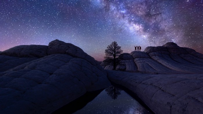 People and tree under the Milky Way galaxy