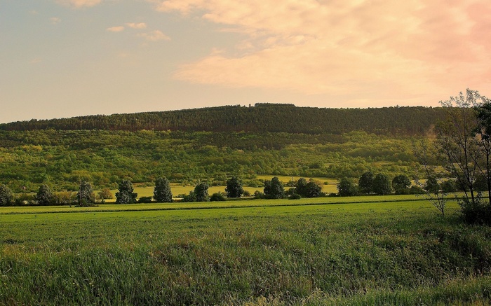 Green fields and forested hills under a cloudy sky