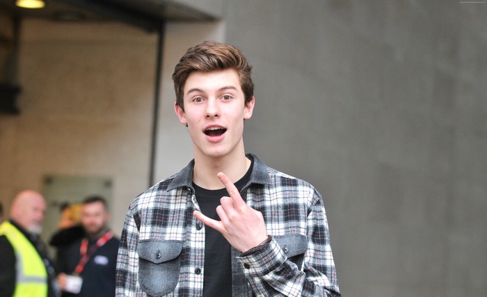Shawn Mendes wearing a plaid shirt