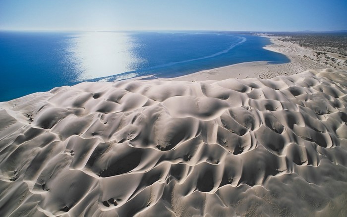 Aerial view of sand dunes meeting the ocean in Baja California