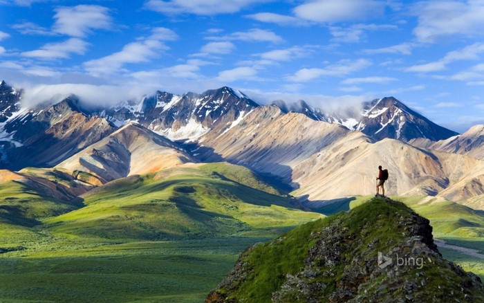 Hiker on a mountain ridge overlooking Denali National Park