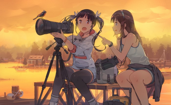 Anime girls with cameras photographing a bird at sunset