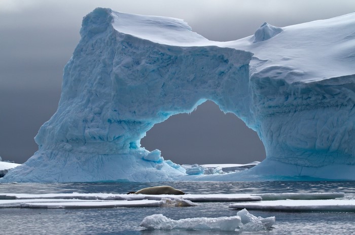 Seal resting on ice floes near an iceberg arch