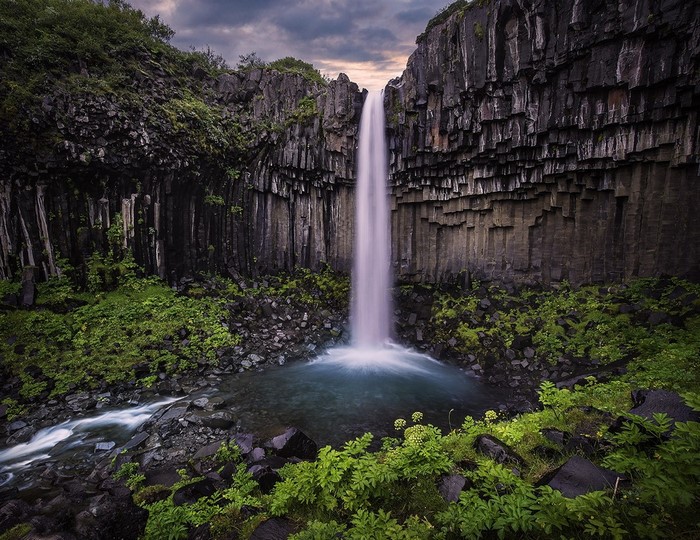Svartifoss waterfall in Iceland with basalt columns