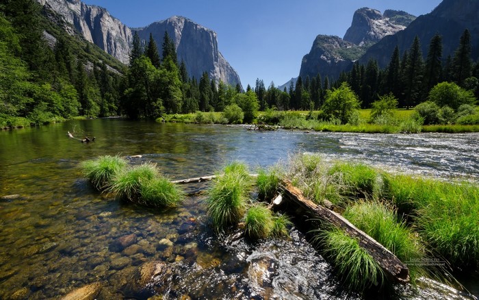 Yosemite National Park River Landscape