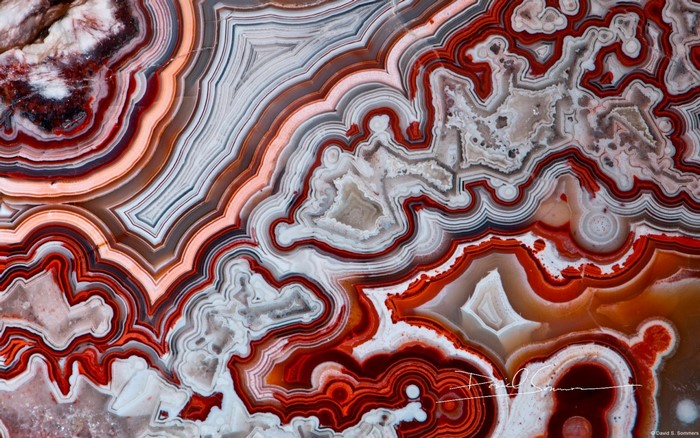 Close-up of a red and white agate rock pattern