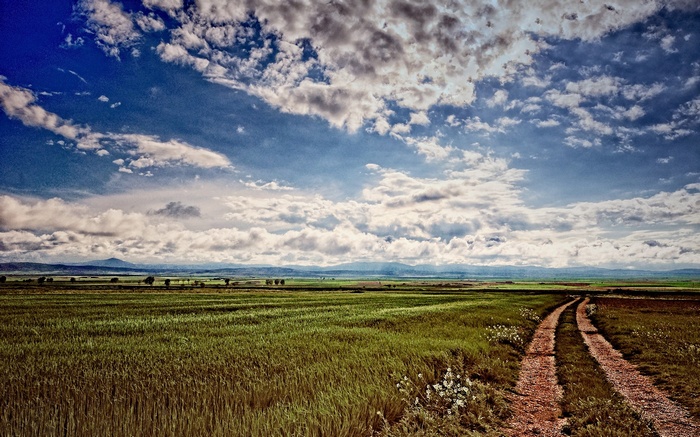 Dirt road through a green field under a cloudy sky
