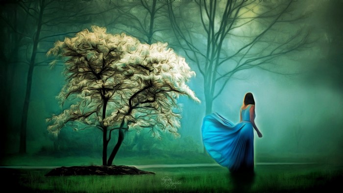 Woman in blue dress in a misty forest