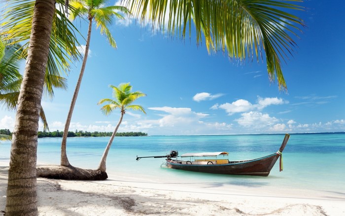 Tropical beach with palm trees and a long tail boat