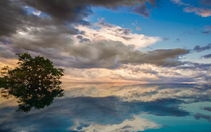 Tree reflected in water at sunset