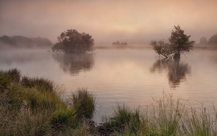 Misty lake with trees at sunrise