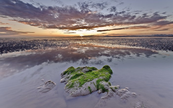 Sunset over a mudflat with reflection and mossy rock