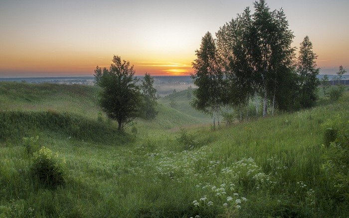Sunrise over misty hills with trees and wildflowers