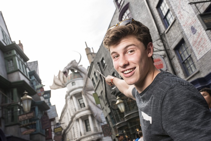 Shawn Mendes in Diagon Alley with Dragon