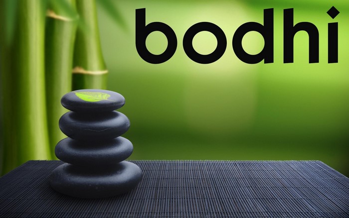 Bodhi Linux logo with stacked stones and bamboo