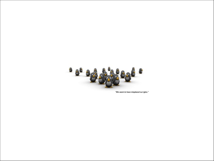 A group of penguins with a quote