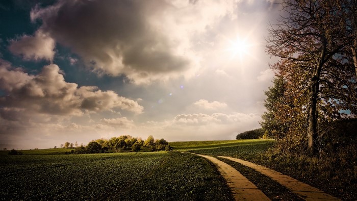 Dirt road through a field under a cloudy sky with sun