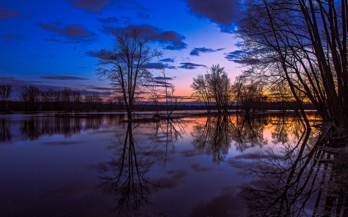 Bare trees reflected in calm water at dusk