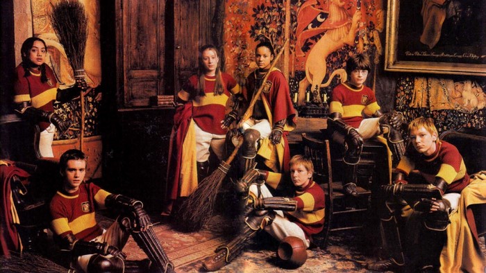 Gryffindor Quidditch Team from Harry Potter