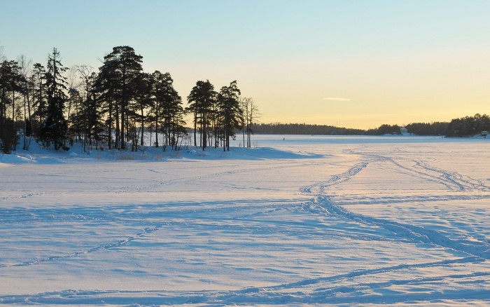 Snowy landscape with trees and tracks on frozen lake