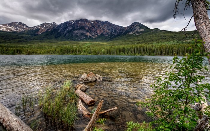 Lake and Mountains with Forest