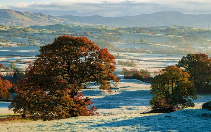 Autumn landscape with frost and trees in sunlight