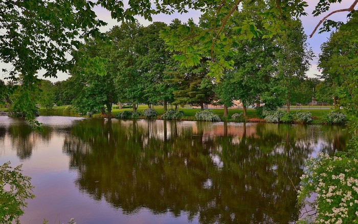 Serene Lakeside Landscape with Reflective Water and Lush Trees