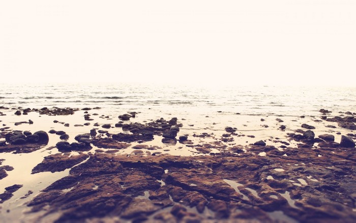 Rocky shore with ocean and overcast sky