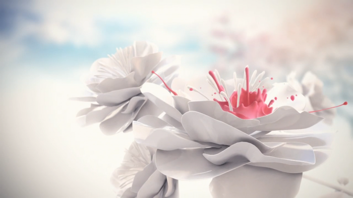 White flowers with pink paint splatter