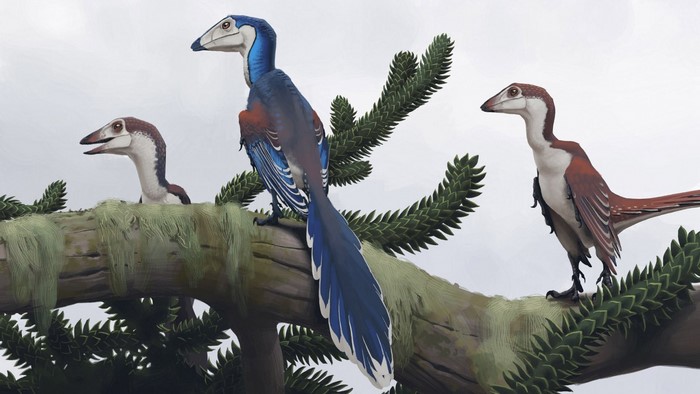 Dinosaurs on a tree branch