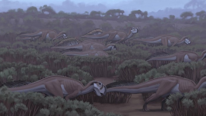 Herd of dinosaurs in a misty wetland habitat