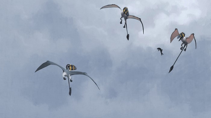 Creatures with backpacks flying in the sky