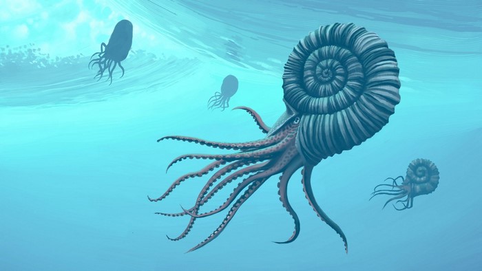 Underwater Scene with Prehistoric Ammonites
