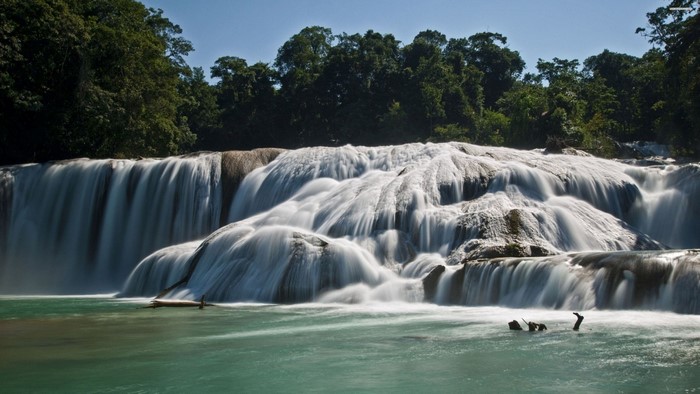 Cascading waterfall in a lush green forest