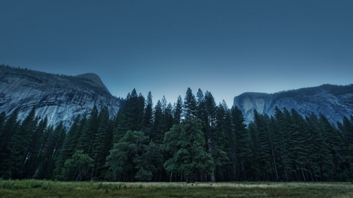 Forest and mountains at dusk