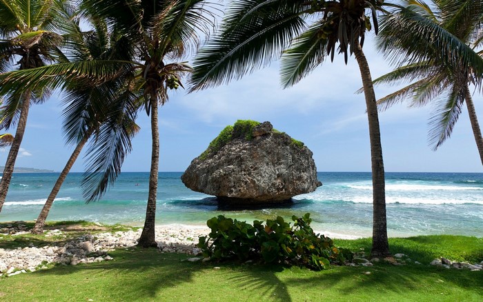 Tropical Beach Scene with Rock and Palm Trees