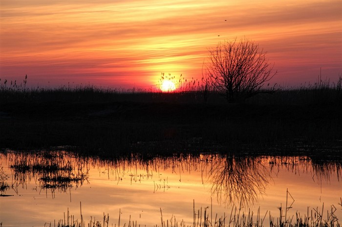 Sunset over a marsh with reflection
