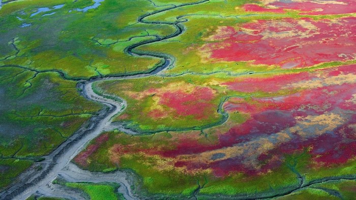 Aerial view of a winding river through colorful wetlands